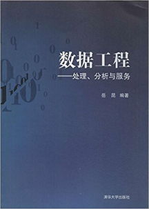 數(shù)據(jù)工程 處理 分析與服務(wù)